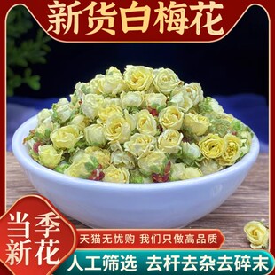 新货白梅花500g绿梅花干货袋装绿萼梅干花泡水喝的另售玫瑰花茶