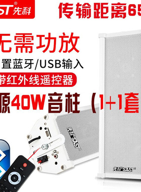 先科 ST501音柱有源蓝牙音响室外防水户外商用壁挂式音箱广播喇叭