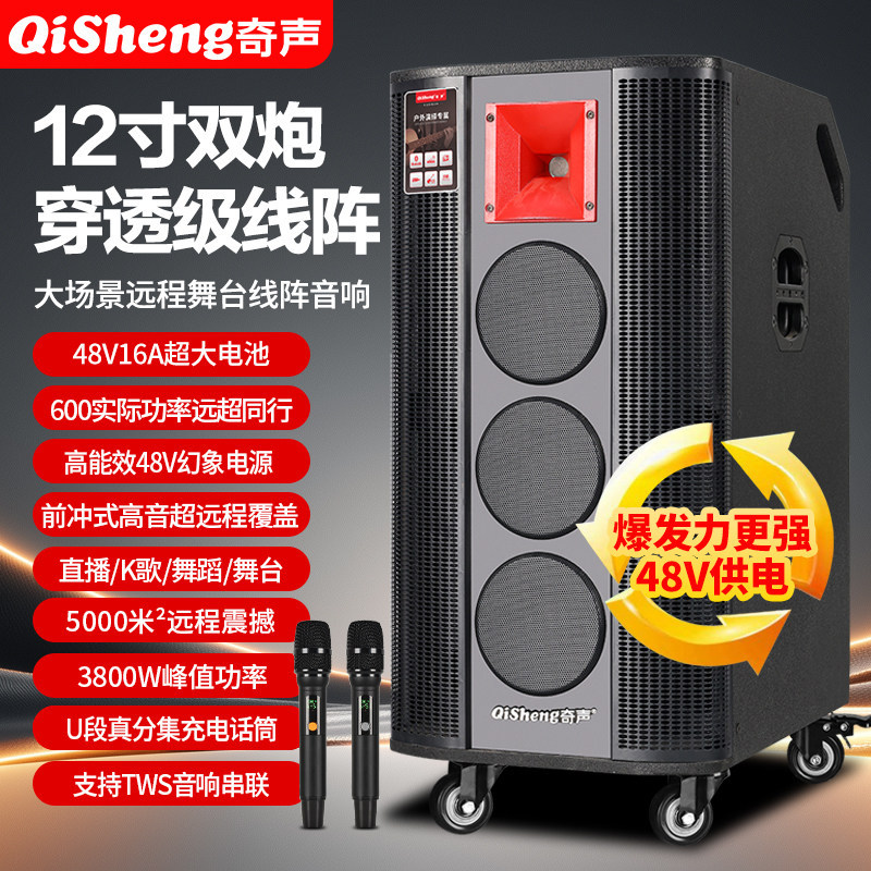 Qisheng/奇声线阵户外穿