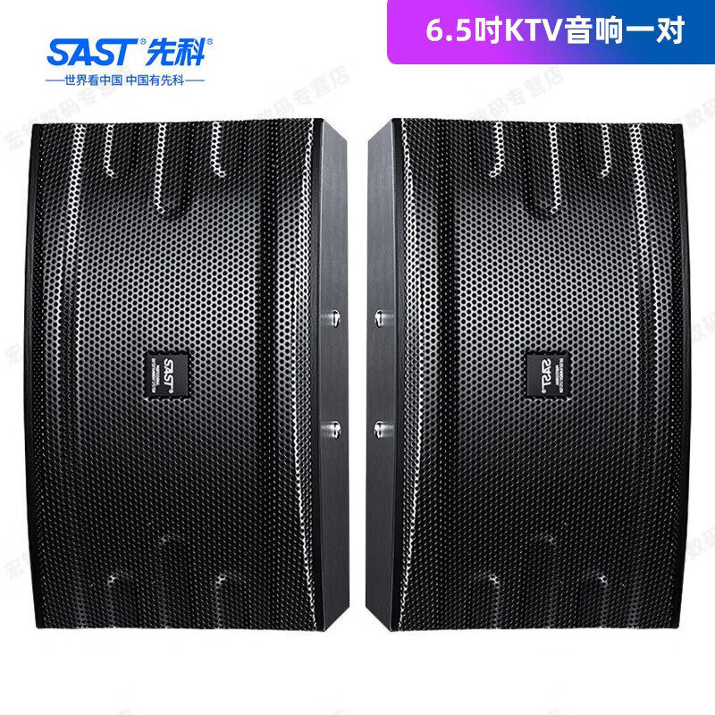 先科（SAST）家庭ktv音响套装 家用卡包音箱功放卡拉OK设备扩音器
