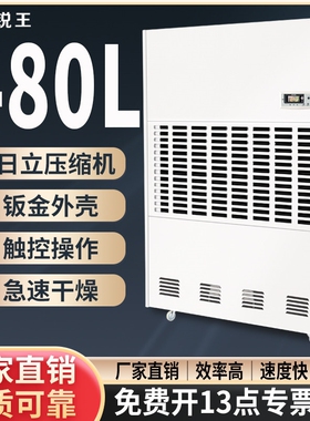 锐王大功率工业除湿机地下室抽湿商用吸湿器机仓库车间干燥器泳池