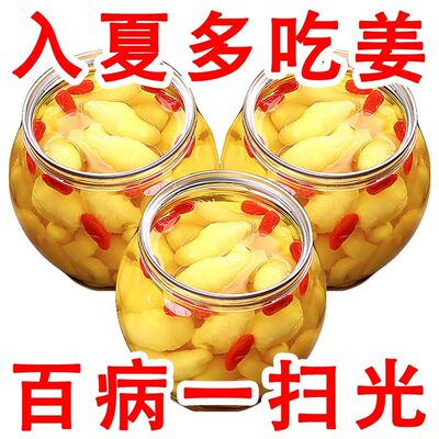 淄博枸杞泡姜芽新鲜嫩姜芽酸甜腌制泡菜下饭菜仔姜糖醋生姜姜片