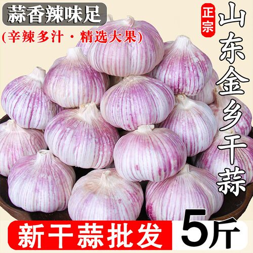 2026年正宗金乡新干蒜头新鲜蔬菜紫皮蒜干蒜红皮蒜大头蒜十足干