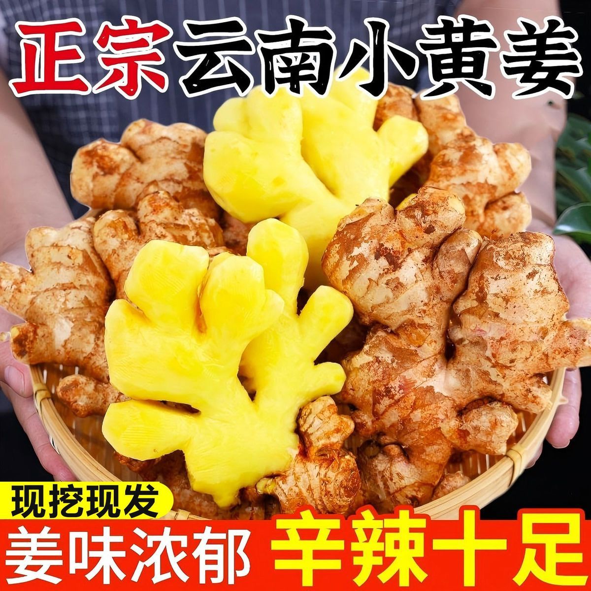 云南正宗小黄姜老姜新鲜生姜姜母农家自种土黄姜非种子姜月子干姜