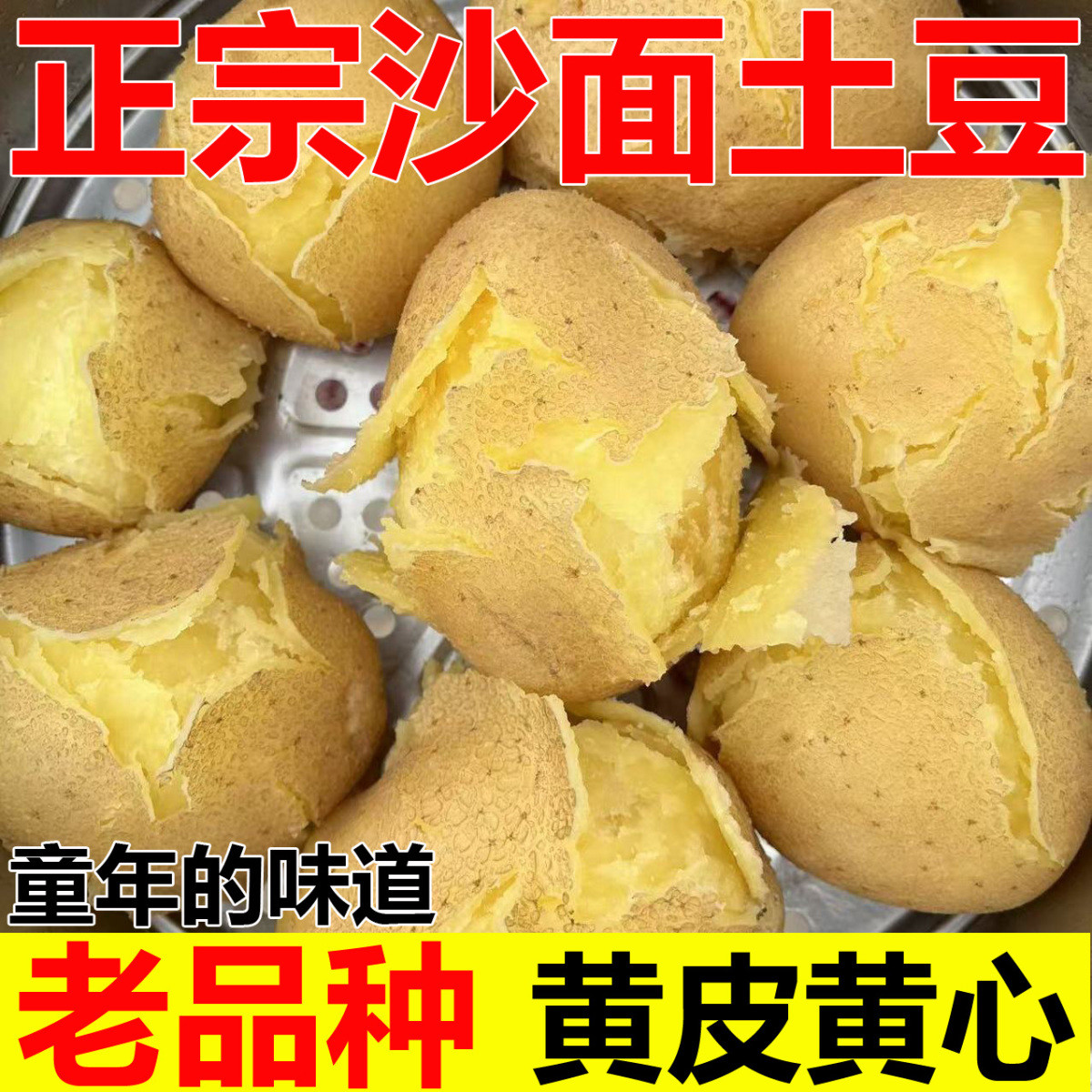 甘肃2026定西新鲜现挖高山土豆蔬菜沙面洋芋马铃薯农家黄皮直发