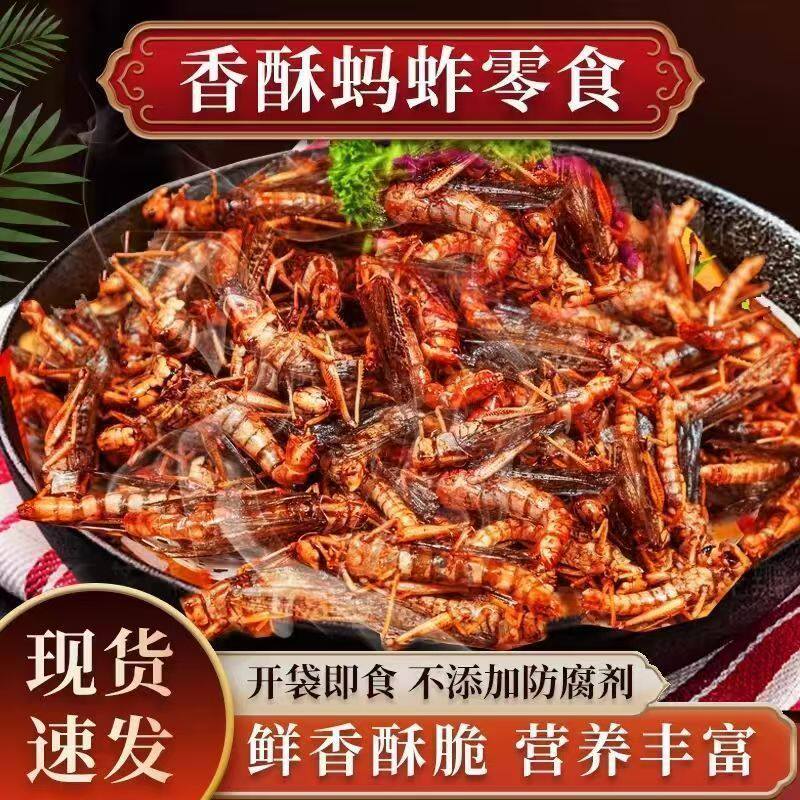 蚂蚱油炸即食香酥蚂蚱山东特产养生零食香辣炸虫子小吃炸金蝉蚱蜢