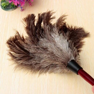 Anti-static Ostrich Feather Duster Dust Cleaning Tool Wooden