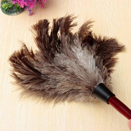 Anti-static Ostrich Feather Duster Dust Cleaning Tool Wooden