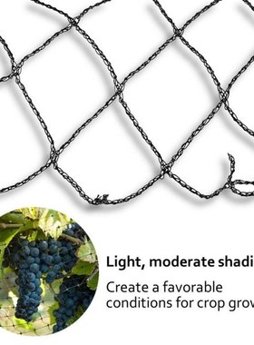 Heavy Anti Bird Netting Net Garden fence and Crops Protectiv
