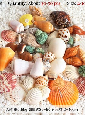 Natural Mediterranean colorful sea shells starfish set fish