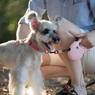 Retractable Dog Leash Rope For Small Medium Large Dog Automa