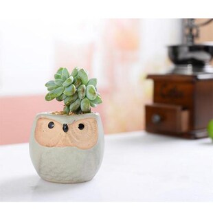 6pcs Ceramic Owl Flower Pots Planters Flowing Glaze Base Ser