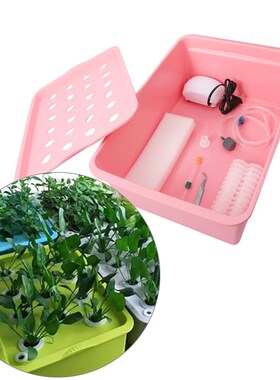 220V 110V Air Pump 24 Hole Hydroponic Soilless Growing Box P