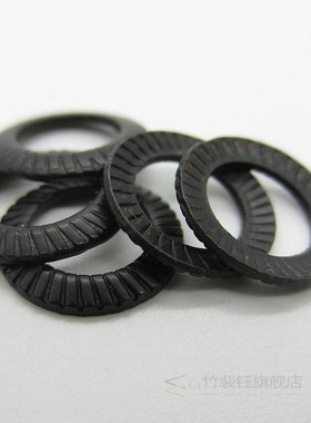 100PCS M3 M4 M5 M6 M8 M10 M12 DIN9250 Washers  65Mn Lock was