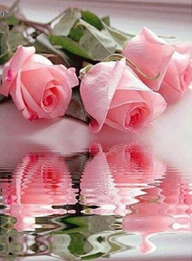 40*30cm DIY 5D  Embroidery Partial Round  Pink Rose Cross St