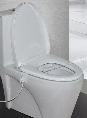 Toilet Bidet Flushing Device Water Spray Seat Fitting Hand O