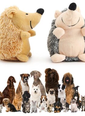 Cute Cartoon Hedgehog Shape Dog Chew Molar Toy Gnawing Sound