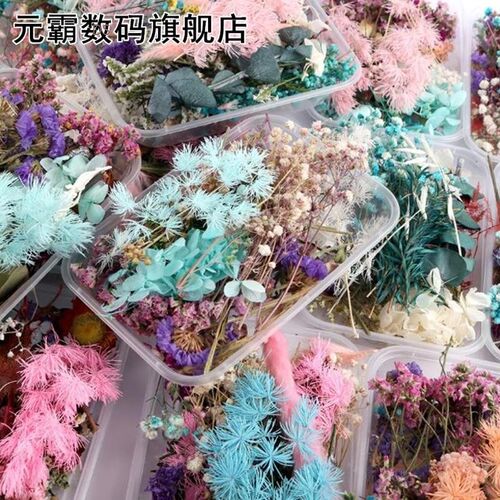 1 Box Real Mix Dried Flowers 适用于 Resin Jewellery Dry Plan
