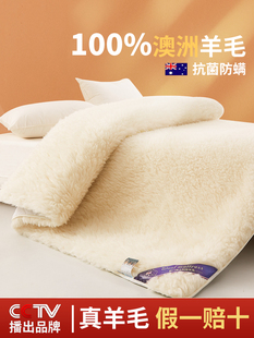 澳洲羊毛床垫软垫家用卧室榻榻米垫子羊羔绒褥子单人冬季加厚保暖