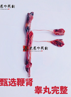 海鞭狗鞭干特级海肾中药材睾丸完整新鲜食用干货男性泡酒煲汤料