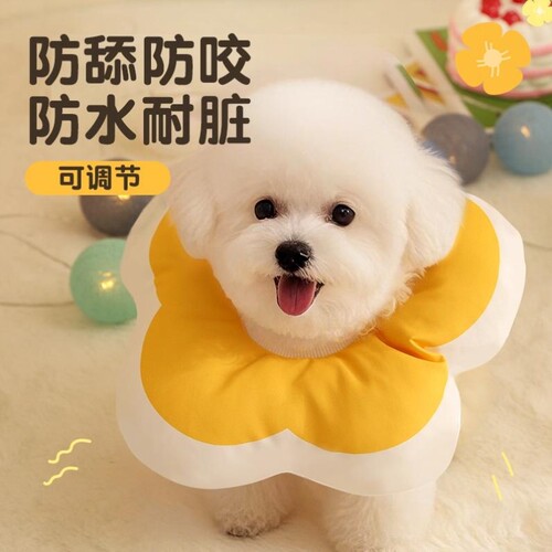 宠物用伊丽莎白圈狗狗项圈围脖防舔咬脖圈猫咪绝育头套软圈小型犬
