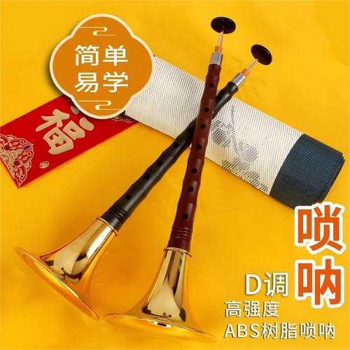 初学者唢呐乐器全套d调成人唢呐学生专业演奏唢呐红木乌木黑檀木