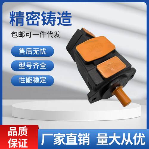 新款PV2R21-65/25RAFF1双联叶片油泵PV2R11 PV2R31 PV包邮