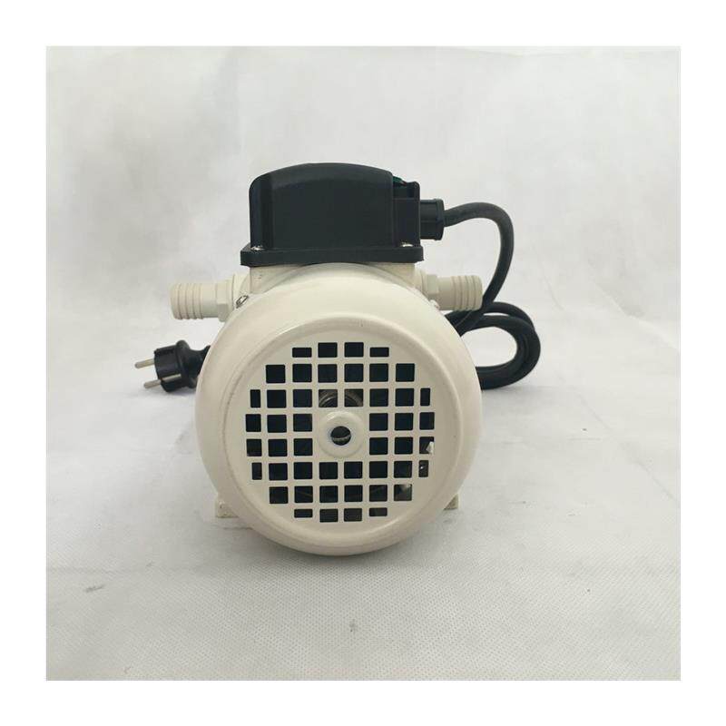 新款厂家直销220V电动隔膜泵耐腐蚀自吸泵化工泵尿素泵包邮
