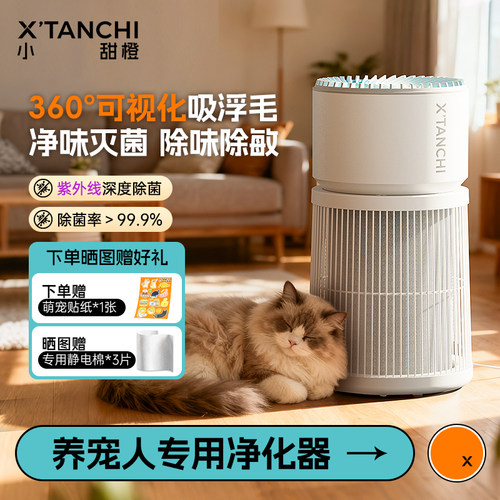 小甜橙空气净化360度高效吸毛