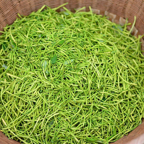 南江高山金银花银花新货头茬头无硫自然晒干养生茶金银花