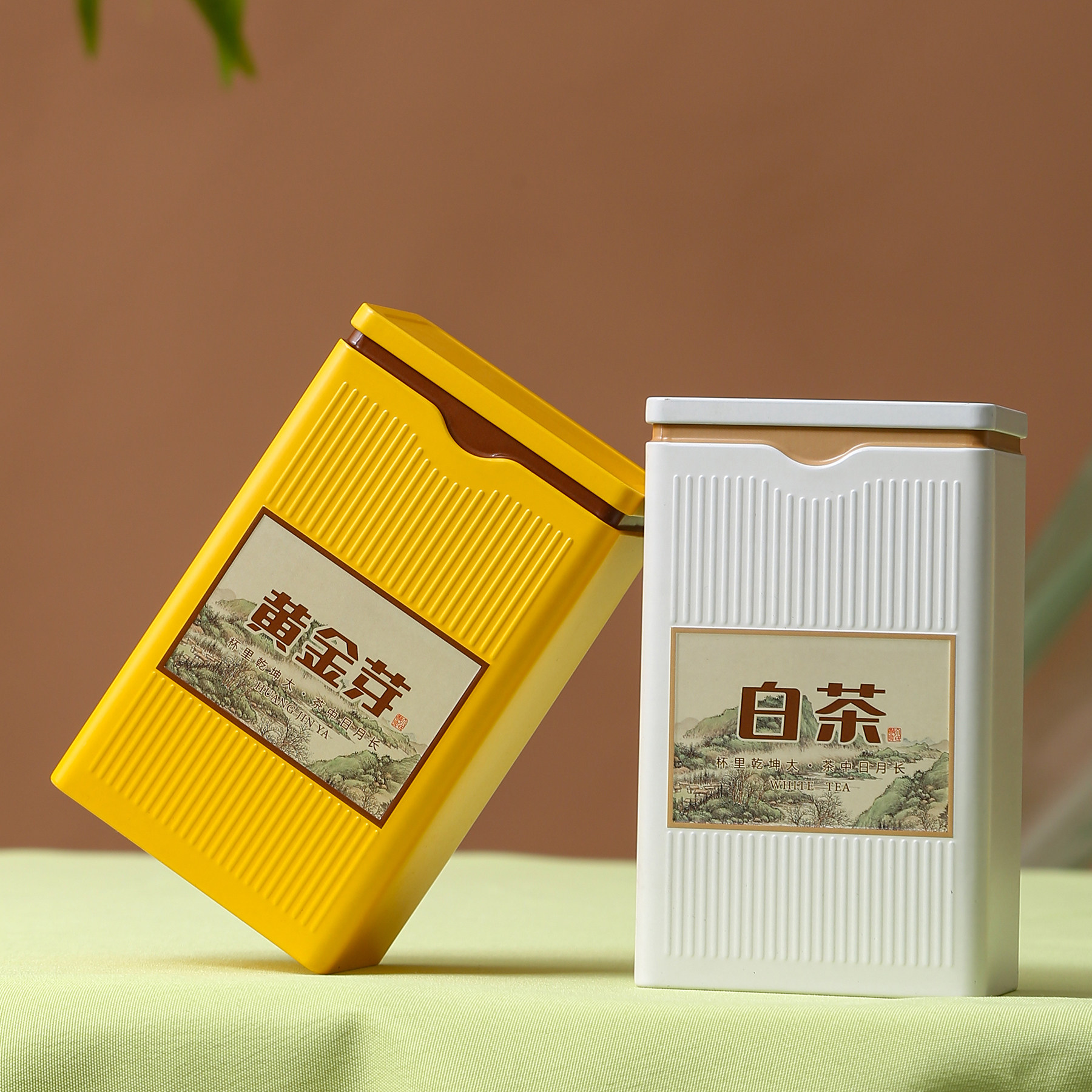 创意铁罐安吉白茶通用铁罐50克装图片