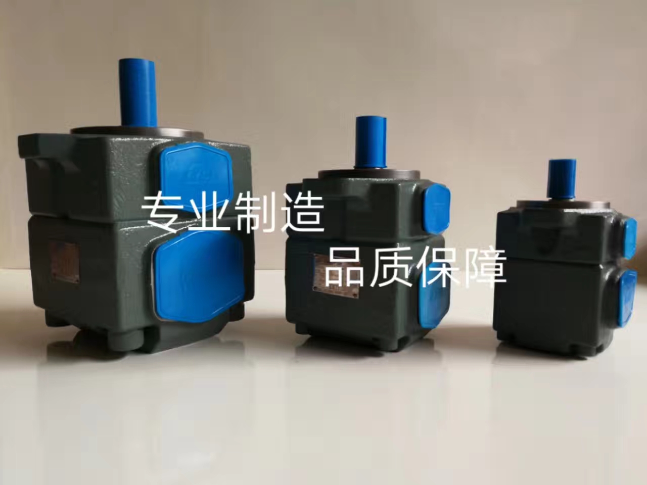 TCH叶片泵VANEPUMP油泵