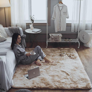 北欧ins长毛i地毯卧室客厅满铺可爱房间床边茶几沙发圆形地垫定制