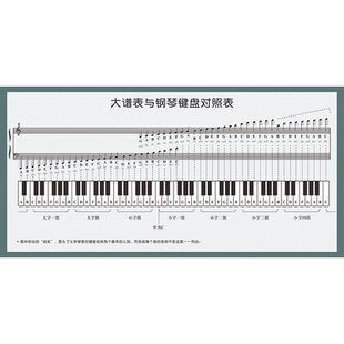 钢琴初学者家用五线谱挂图音符对照表大普表与钢琴键盘图纸贴纸
