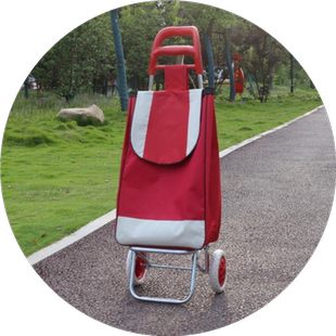 购物车小推车网红超轻便折叠大号老年人买菜车便携爬楼车买菜神器