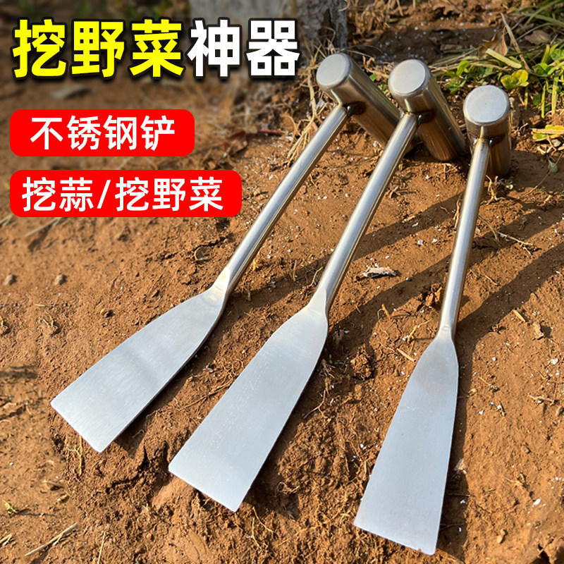不锈钢蒜铲挖野菜的小铲子挖菜神器园艺种菜除草挖土户外专用工具