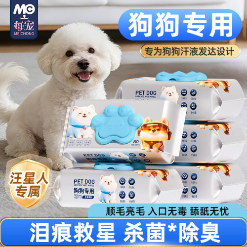 比熊狗狗嘴巴去黄擦泪痕擦屁股