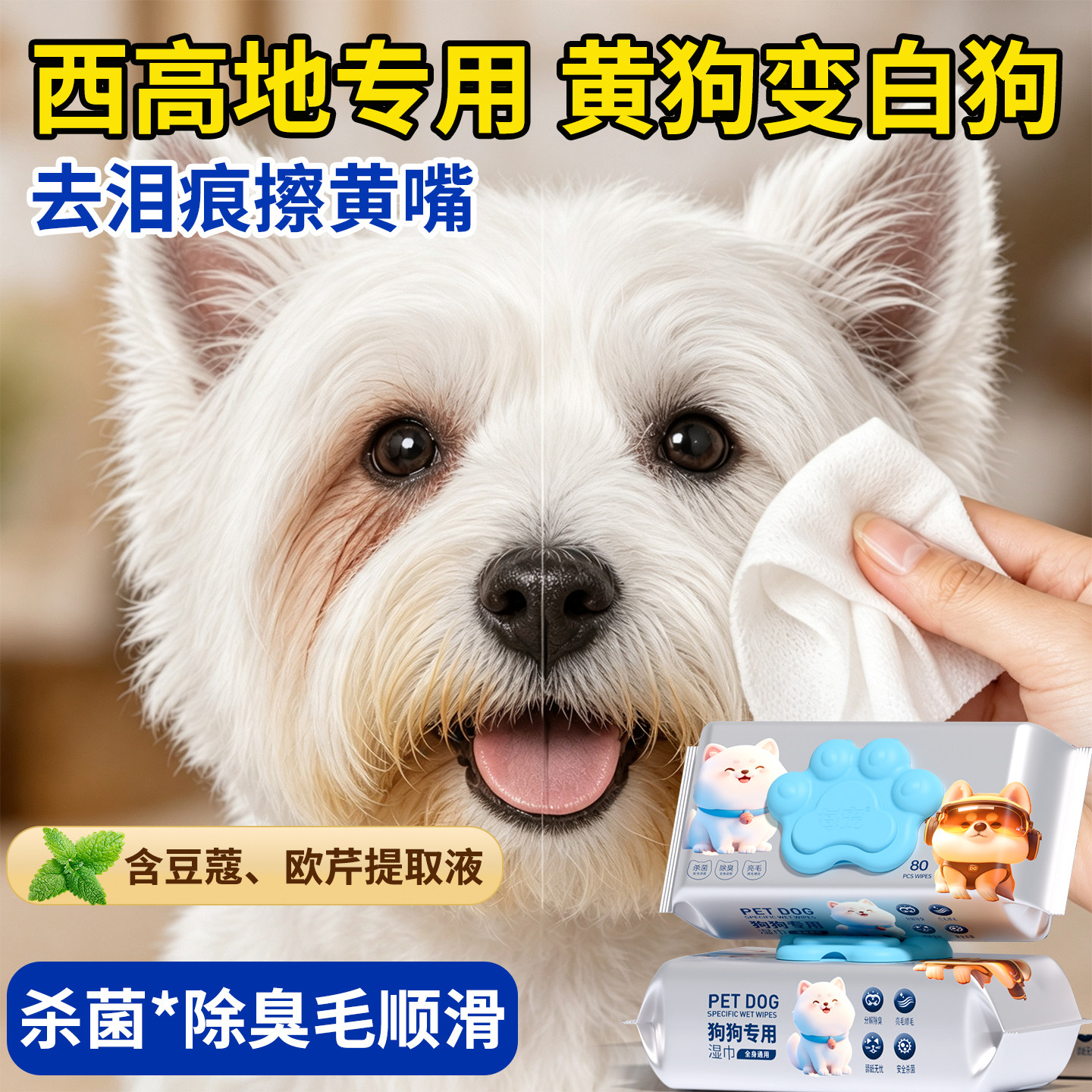 西高地狗狗湿巾清洁泪痕黄胡子