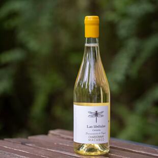 DOCG四叶草莫斯卡托小甜水瑞吉娜奈斯特低度甜白起泡蜻蜓庄园干白