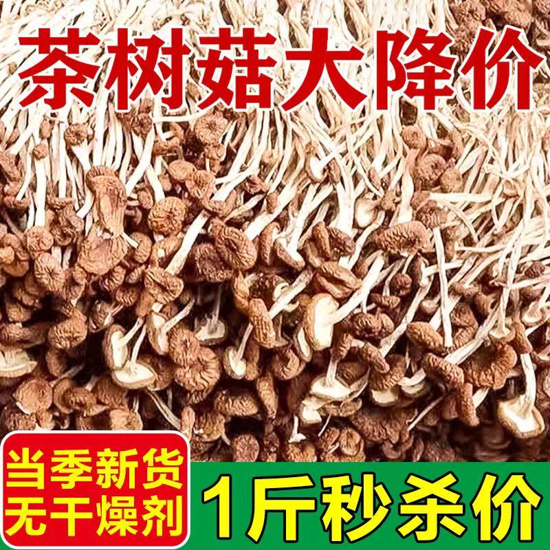 茶树菇干货500g古田新鲜干菇类炖汤煲汤香菇官方旗舰店