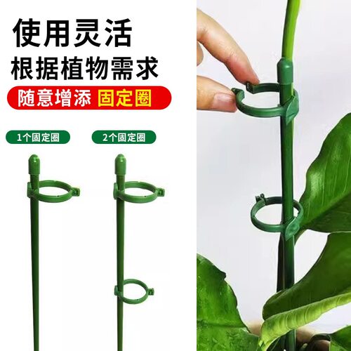 园艺花架植物专用防倒伏支撑杆西