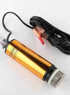 柴油抽油泵12V24V48V60V伏电瓶车抽水泵小型家用农用电动车抽水机
