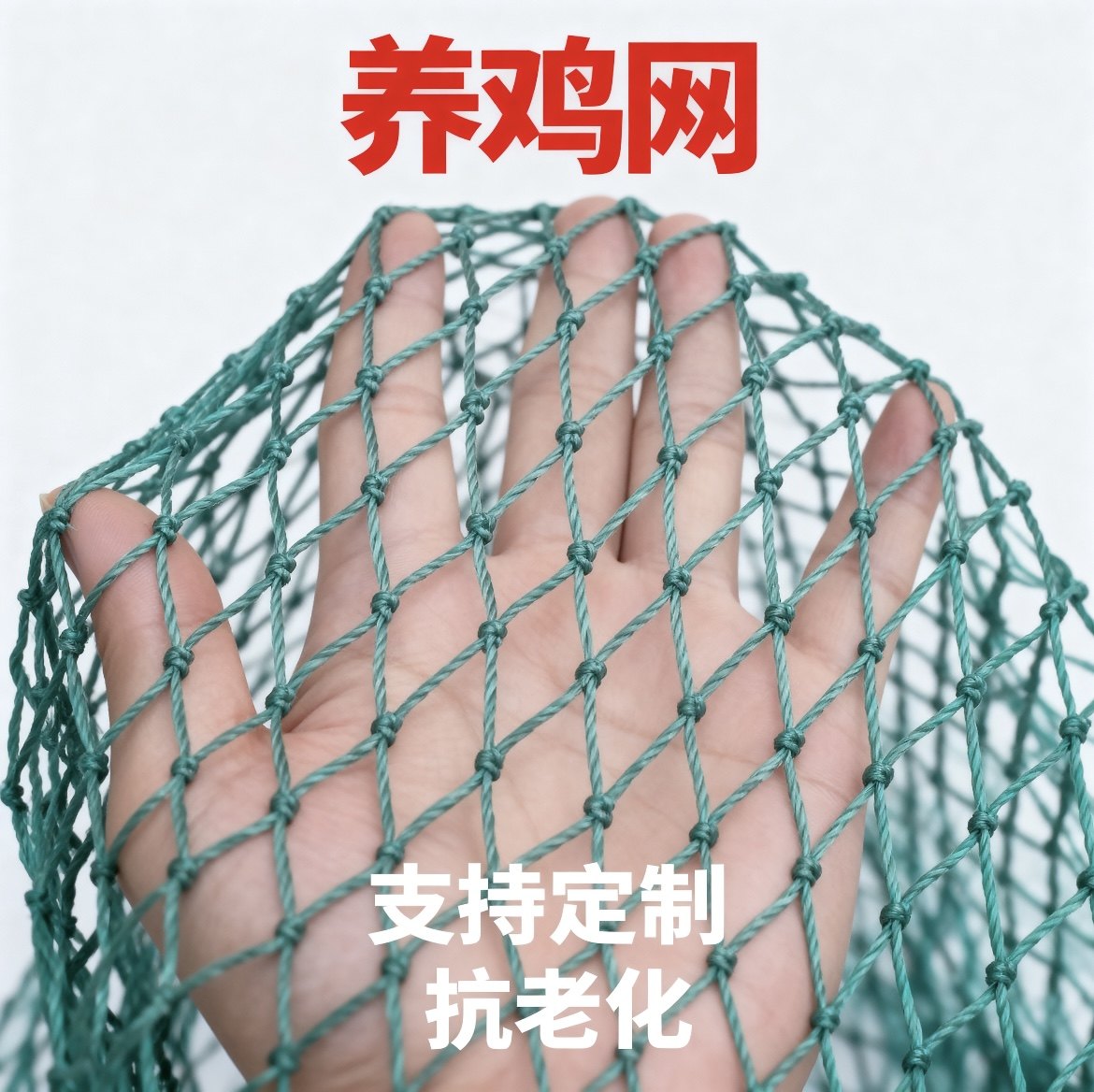 养鸡网拦鸡网围鸡网家禽养殖网菜园网山鸡网尼龙网隔离网围栏顶网,五金/工具,护栏/隔离栏,淘宝优惠券,粉丝福利购,淘宝优惠卷