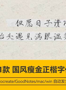Procreate/Win/GoodNotes/Mac用 国风瘦金正楷字体安装包自动发货