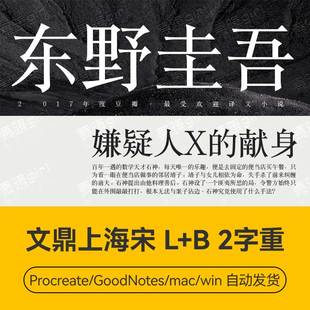 Procreate/Win/GoodNotes/Mac通用   文鼎上海宋2字重字体安装包