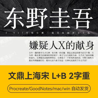 Procreate/Win/GoodNotes/Mac通用   文鼎上海宋2字重字体安装包