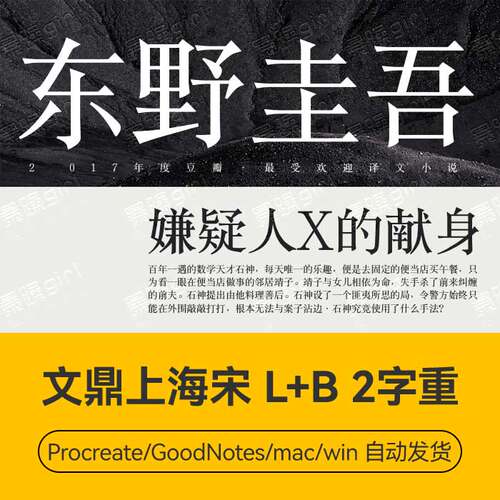 Procreate/Win/GoodNotes/Mac通用   文鼎上海宋2字重字体安装包