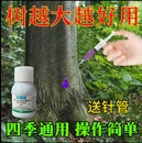 环嗪哃烂根专用药强力除树剂强力腐树根树枯死正品 酮除草剂