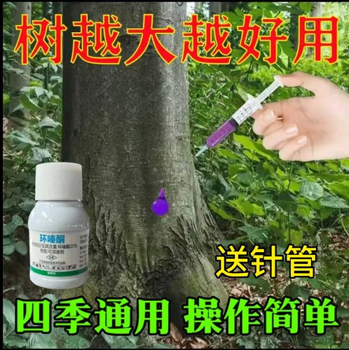 环嗪哃烂根专用药强力除树剂强力腐树根树枯死正品酮除草剂