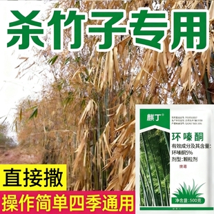 环嗪哃烂根除大竹子专用药正品环秦泰酮铜除草烂根剂一扫光竹子药